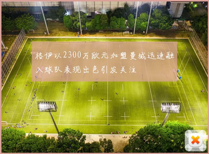 格伊以2300万欧元加盟曼城迅速融入球队表现出色引发关注
